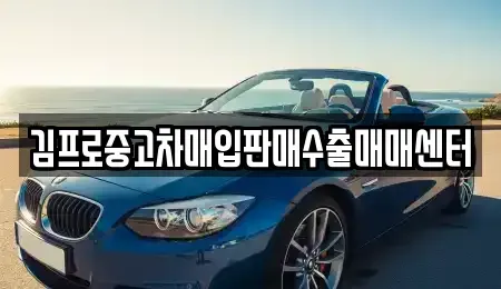 경상북도 상주시 성동동 중고차매입 전문 김프로중고차매입판매수출매매센터