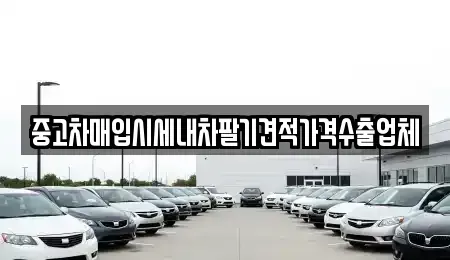 경상북도 상주시 성동동 중고차매입 전문 중고차매입시세내차팔기견적가격수출업체