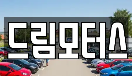경상북도 상주시 함창읍 중고차 전문 드림모터스