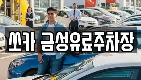 경상북도 안동시 남문동 렌트카 전문 쏘카 금성유료주차장