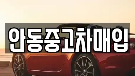 경상북도 안동시 남문동 중고차 전문 안동중고차매입