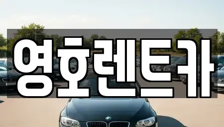 경상북도 안동시 남후면 렌트카 전문 영호렌트카