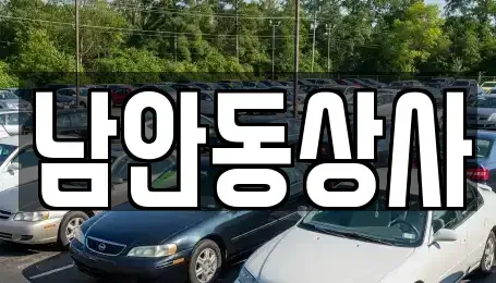경상북도 안동시 남후면 중고차 전문 남안동상사