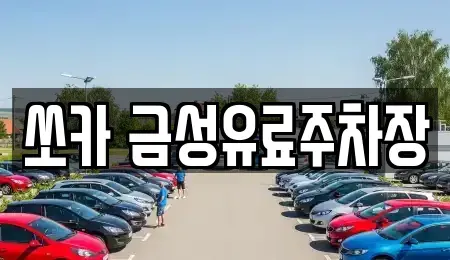 경상북도 안동시 목성동 렌트카 전문 쏘카 금성유료주차장