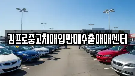 경상북도 안동시 목성동 중고차매입 전문 김프로중고차매입판매수출매매센터