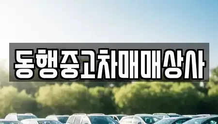 경상북도 안동시 안기동 중고차 전문 동행중고차매매상사