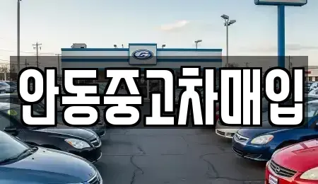 경상북도 안동시 안기동 중고차 전문 안동중고차매입