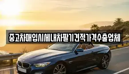 경상북도 안동시 안기동 중고차 전문 중고차매입시세내차팔기견적가격수출업체