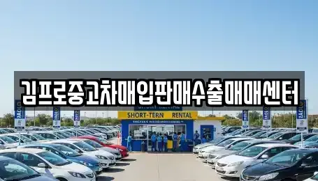 경상북도 안동시 안기동 중고차매입 전문 김프로중고차매입판매수출매매센터