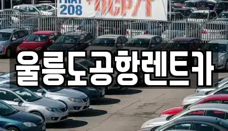 경상북도 울릉군 렌트카 전문 울릉도공항렌트카