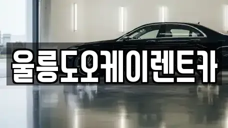 경상북도 울릉군 렌트카 전문 울릉도오케이렌트카