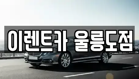 경상북도 울릉군 렌트카 전문 이렌트카 울릉도점