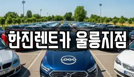 경상북도 울릉군 렌트카 전문 한진렌트카 울릉지점