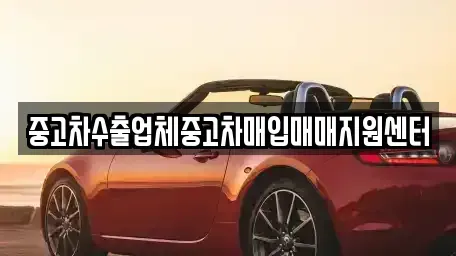 경상북도 의성군 의성읍 중고차 전문 중고차수출업체중고차매입매매지원센터