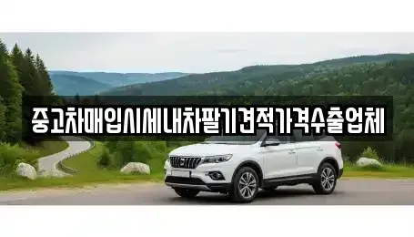 경상북도 의성군 의성읍 중고차매입 전문 중고차매입시세내차팔기견적가격수출업체