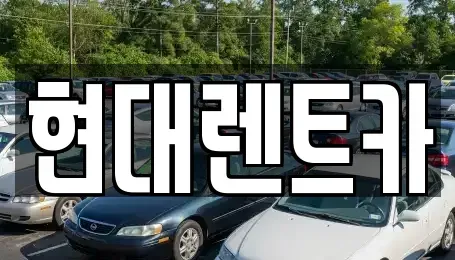 경상북도 포항시 남구 대도동 렌트카,단기렌트카,장기렌트카,중고차,중고차매매,중고차매입