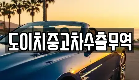경상북도 포항시 남구 대도동 중고차 전문 도이치중고차수출무역