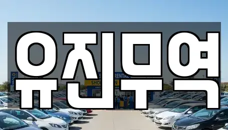 경상북도 포항시 남구 대도동 중고차 전문 유진무역