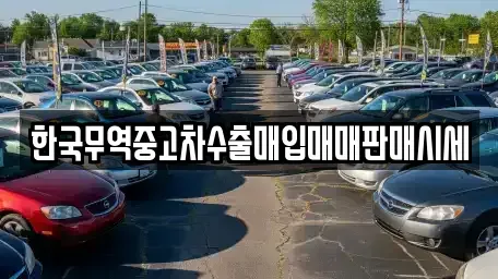 경상북도 포항시 남구 대도동 중고차 전문 한국무역중고차수출매입매매판매시세