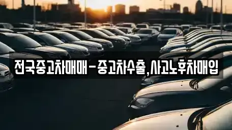 경상북도 포항시 남구 대도동 중고차매입 전문 전국중고차매매-중고차수출,사고노후차매입
