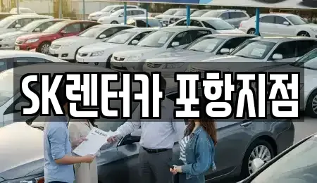 경상북도 포항시 장기렌트카 전문 SK렌터카 포항지점