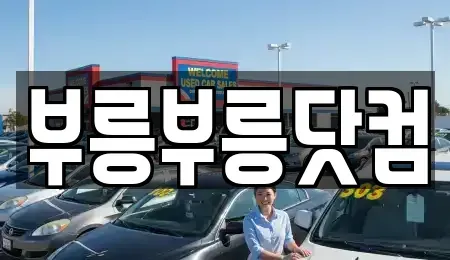 경상북도 포항시 중고차매매 전문 부릉부릉닷컴