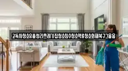 고독사청소유품정리쓰레기집청소침수청소역류청소화재복구그을음
