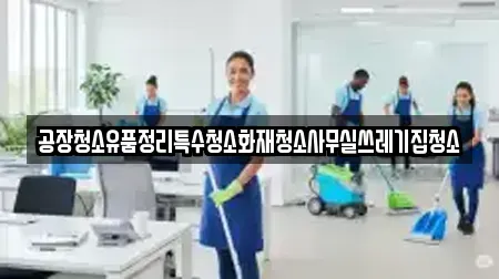 공장청소유품정리특수청소화재청소사무실쓰레기집청소