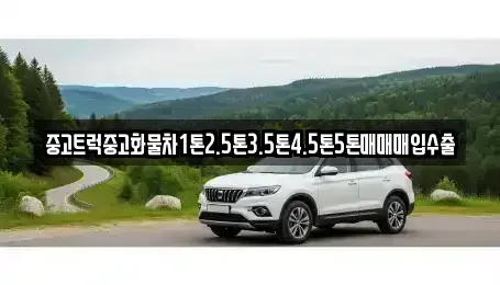광주 광산구 남산동 중고차매입 전문 중고트럭중고화물차1톤2.5톤3.5톤4.5톤5톤매매매입수출