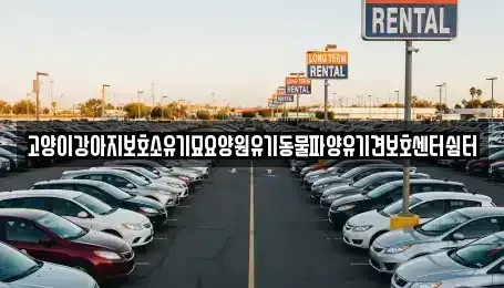 광주 광산구 송산동 중고차 전문 고양이강아지보호소유기묘요양원유기동물파양유기견보호센터쉼터