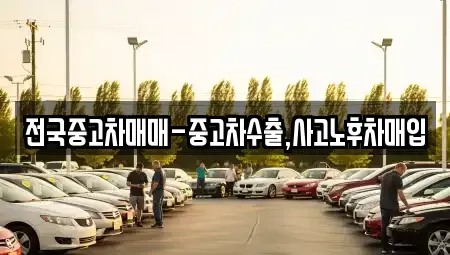 광주 광산구 송산동 중고차매입 전문 전국중고차매매-중고차수출,사고노후차매입