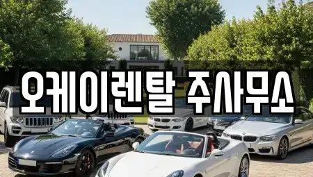 광주 광산구 신창동 렌트카 전문 오케이렌탈 주사무소