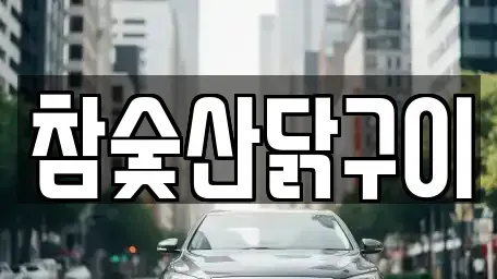 광주 광산구 신창동 중고차매매 전문 참숯산닭구이