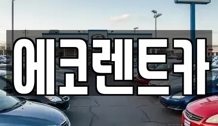 광주 광산구 오선동 렌트카 전문 에코렌트카
