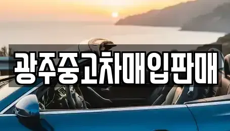 광주 남구 노대동 중고차 전문 광주중고차매입판매