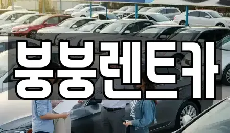 광주 북구 장등동 렌트카 전문 붕붕렌트카