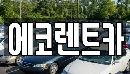광주 북구 장등동 렌트카 전문 에코렌트카