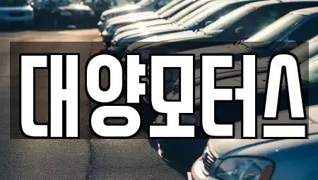 광주 북구 장등동 중고차 전문 대양모터스