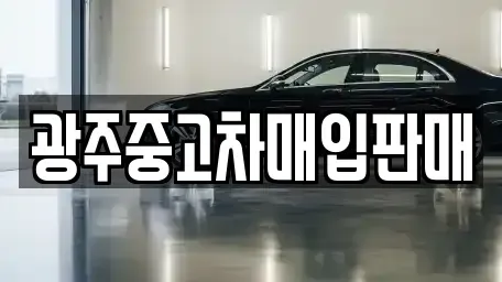 광주 북구 장등동 중고차매입 전문 광주중고차매입판매