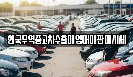 광주 북구 장등동 중고차매입 전문 한국무역중고차수출매입매매판매시세