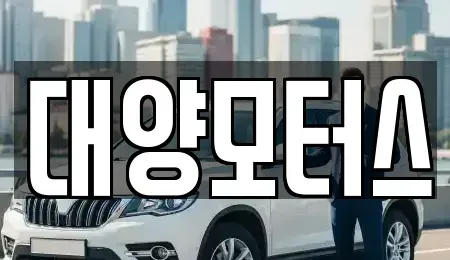 광주 북구 중흥동 중고차 전문 대양모터스