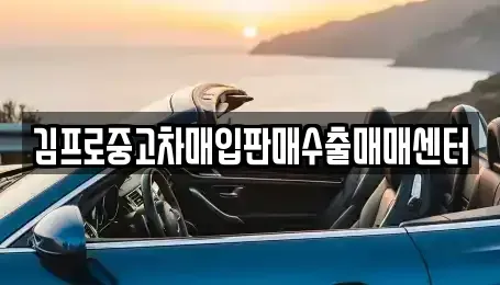 광주 북구 중흥동 중고차매입 전문 김프로중고차매입판매수출매매센터