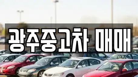 광주 서구 매월동 중고차매매 전문 광주중고차 매매