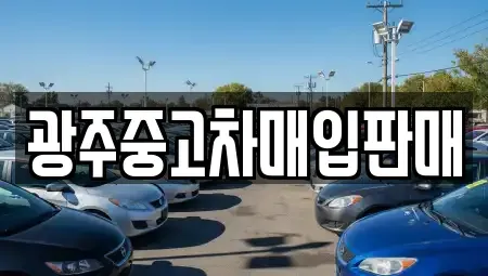 광주 서구 매월동 중고차매입 전문 광주중고차매입판매
