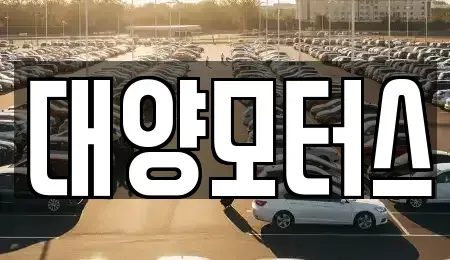 광주광역시 광산구 용봉동 중고차 전문 대양모터스