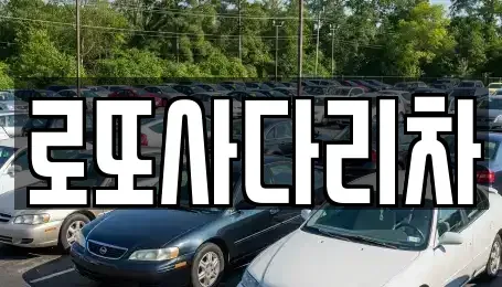 광주광역시 남구 노대동 중고차매입 전문 로또사다리차