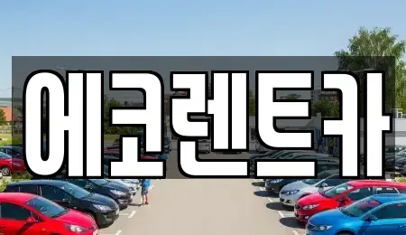 광주광역시 남구 주월동 렌트카 전문 에코렌트카