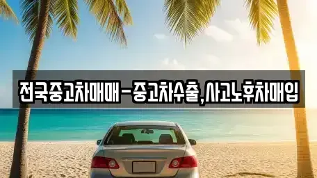 광주광역시 남구 주월동 중고차 전문 전국중고차매매-중고차수출,사고노후차매입