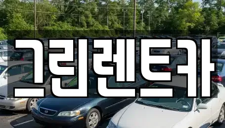 광주광역시 동구 용산동 장기렌트카 전문 그린렌트카