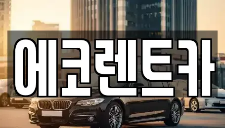 광주광역시 북구 연제동 렌트카 전문 에코렌트카